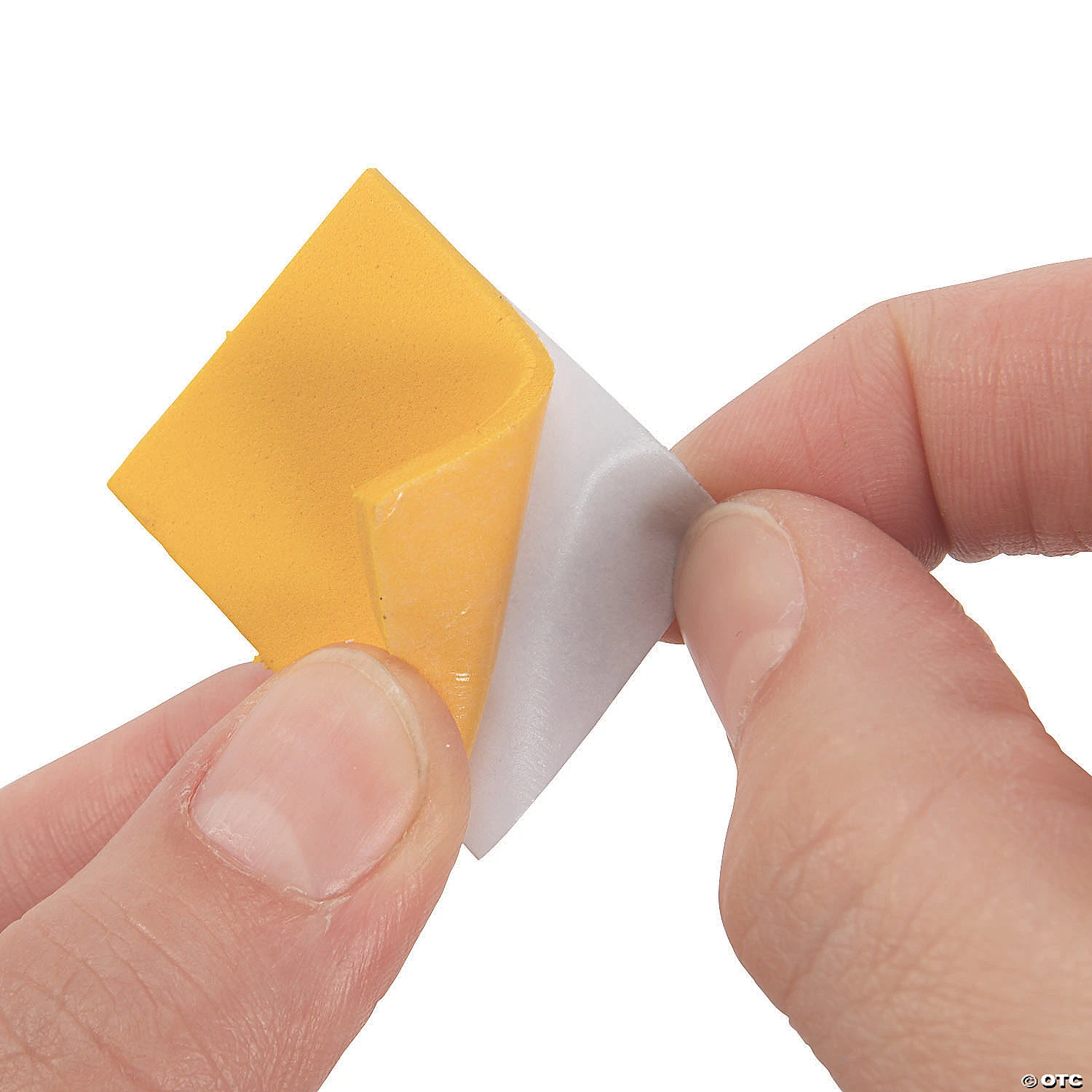 Discount ???? Rainforest VBS Verse a Day Craft Kit - Makes 12 ???? 3 Discount ???? Rainforest VBS Verse a Day Craft Kit - Makes 12 ???? - Image 3